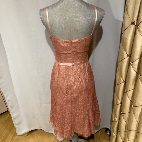 Elegant Pink Lace Dress - Picture 5 of 11